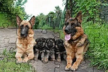 Familia Canina jigsaw puzzle