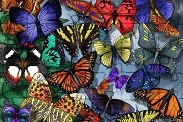 Butterflies jigsaw puzzle