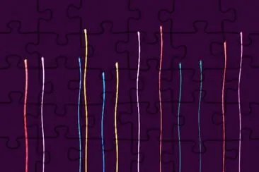 MARSU jigsaw puzzle