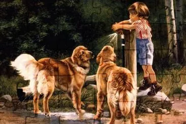 animais