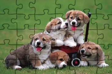 182421_359908534118120_1198945226_n jigsaw puzzle
