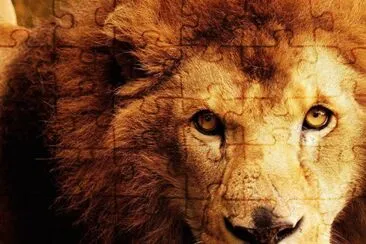 32162_349971421778498_224788520_n jigsaw puzzle