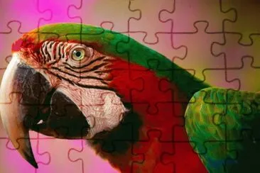 526726_349971341778506_1487831565_n