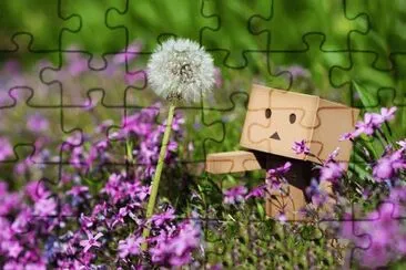 485177_347412555367718_1902174448_n jigsaw puzzle