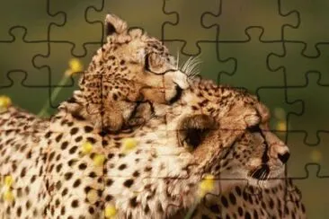 539801_346619348780372_1990391385_n jigsaw puzzle