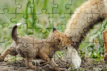 פאזל של 555313_332759300166377_667398969_n