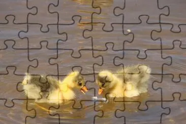 481232_330472603728380_1353672777_n jigsaw puzzle