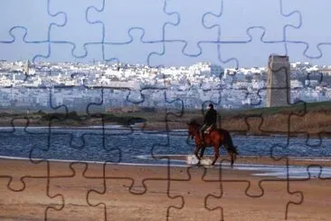 פאזל של conil,cadiz