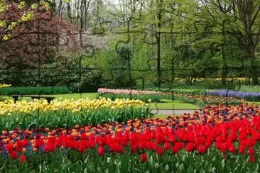 Jardim Verde Colorido 24 jigsaw puzzle