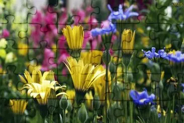 Flores Lindas jigsaw puzzle