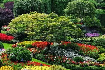Jardim bem florido jigsaw puzzle