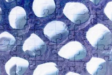 MARSU jigsaw puzzle
