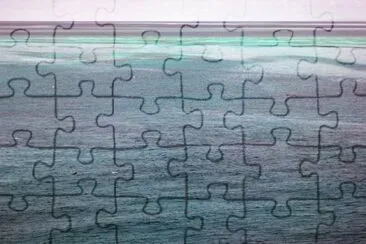 MARSU jigsaw puzzle