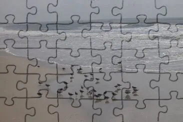 MARSU jigsaw puzzle
