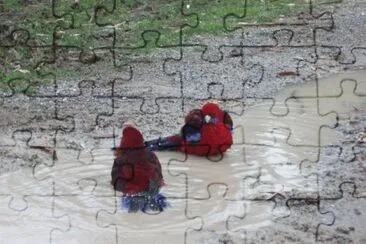 MARSU jigsaw puzzle