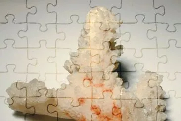 MARSU jigsaw puzzle