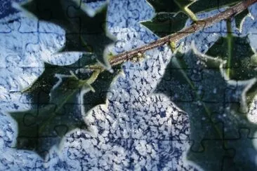 MARSU jigsaw puzzle