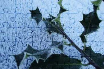 MARSU jigsaw puzzle