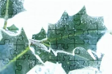 MARSU jigsaw puzzle