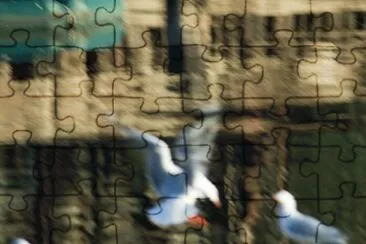 MARSU jigsaw puzzle