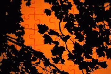 MARSU jigsaw puzzle