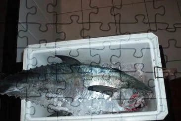 MARSU jigsaw puzzle