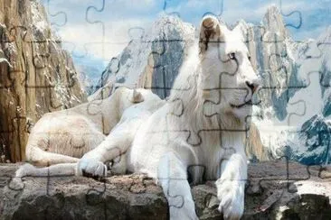 e jigsaw puzzle