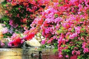 jardin jigsaw puzzle