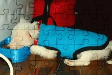 Tango Durmiendo jigsaw puzzle