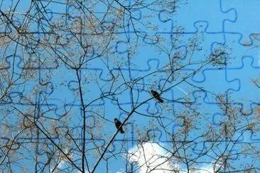 MARSU jigsaw puzzle