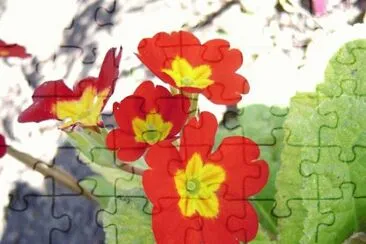Flowers on meadow Fields jigsaw puzzle