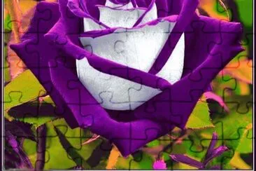 Purple Rose
