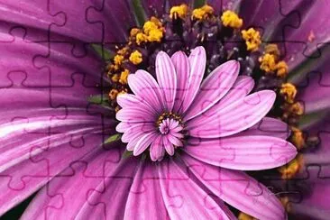 פאזל של Purple droste