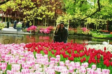 26 Casal nas flores jigsaw puzzle