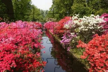 CÃ³rrego e flores jigsaw puzzle