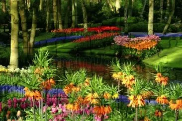 Keukenhof jigsaw puzzle