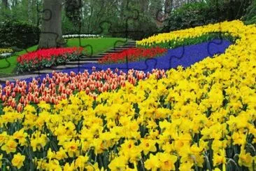 פאזל של Onda Amarela de flores