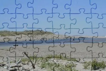 MARSU jigsaw puzzle