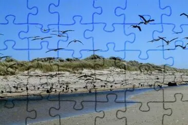MARSU jigsaw puzzle