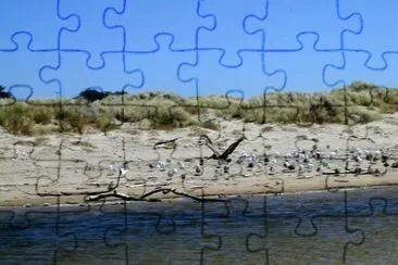 MARSU jigsaw puzzle