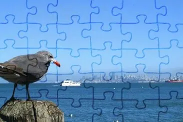 MARSU jigsaw puzzle