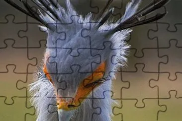. jigsaw puzzle