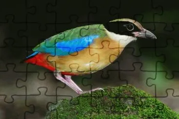 . jigsaw puzzle