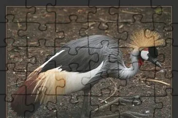 . jigsaw puzzle