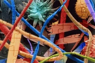 Household Dust under the Microscope 22 million times jigsaw puzzle