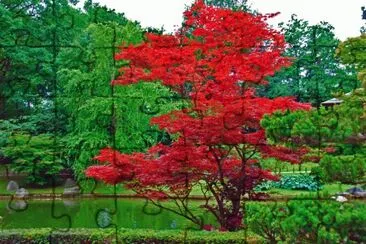 jardin jigsaw puzzle