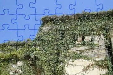 פאזל של MARSU
