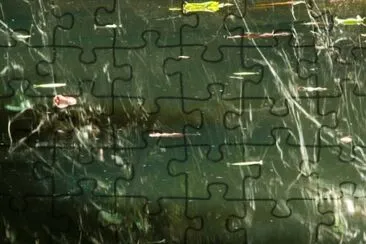MARSU jigsaw puzzle