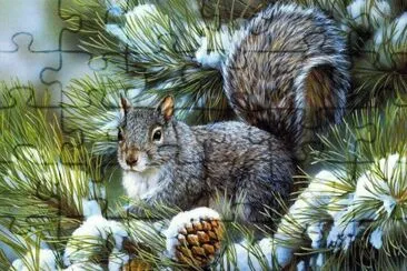 winter