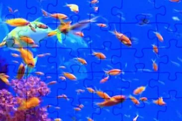 fishy-43 jigsaw puzzle